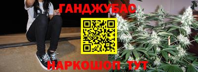 шишки Славгород