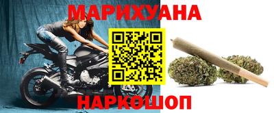 шишки Славгород