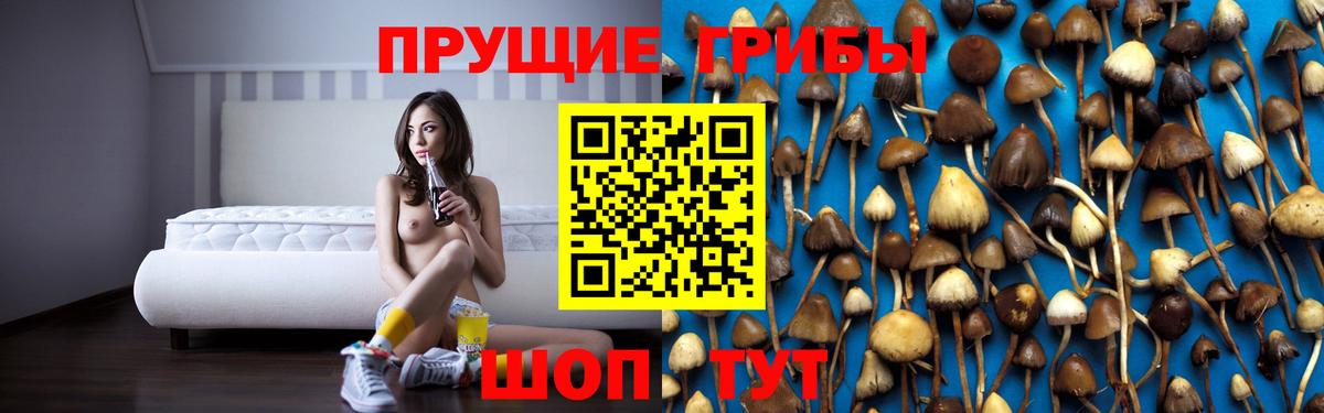Псилоцибиновые грибы мицелий  Вход с VPN  Галлюциногенные грибы Cubensis  Скопин 