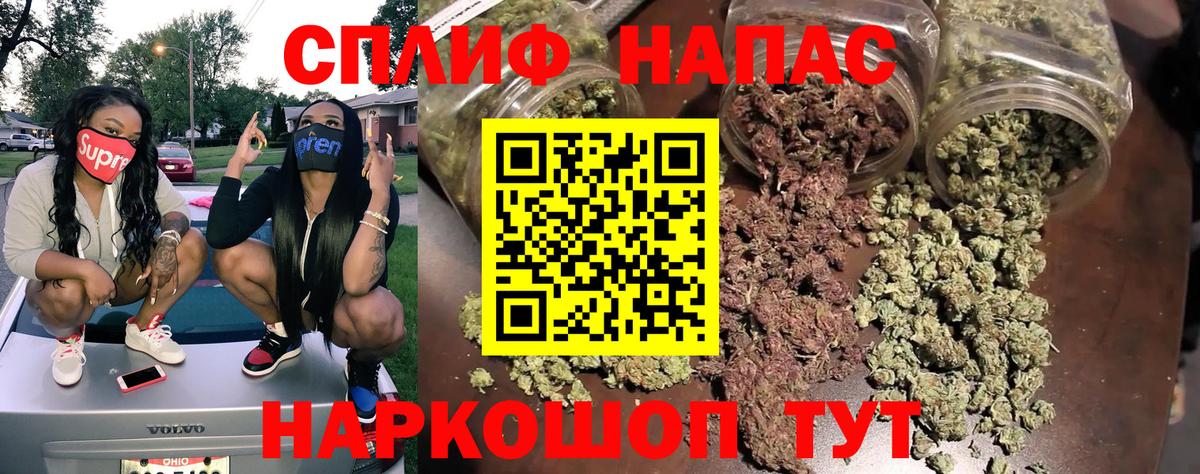 МАРИХУАНА конопля Скопин